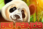 Big Panda